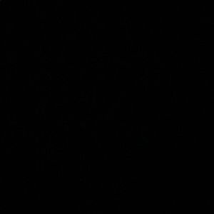 Meet your Posher, Moses